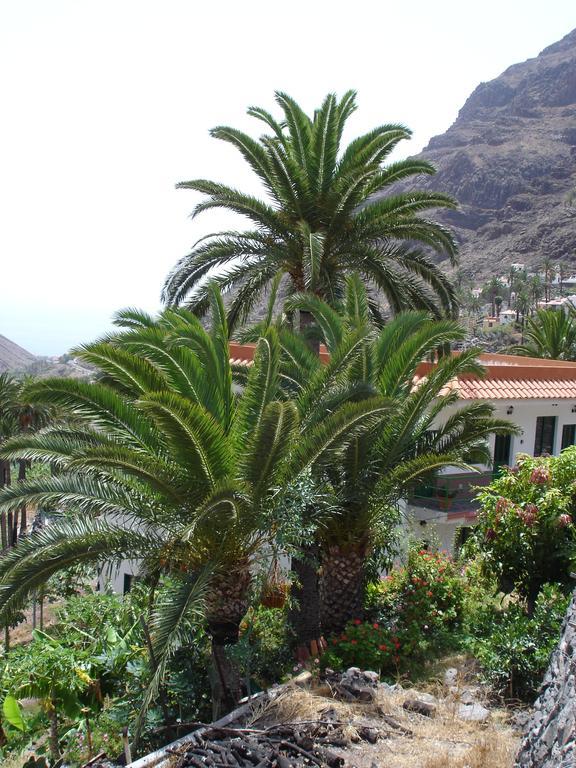 Goyo Gomera Apartments Валле Гранд Рей Экстерьер фото