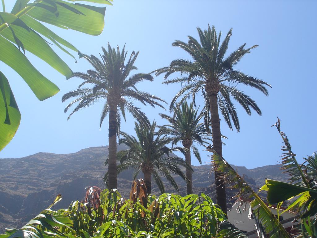 Goyo Gomera Apartments Валле Гранд Рей Экстерьер фото